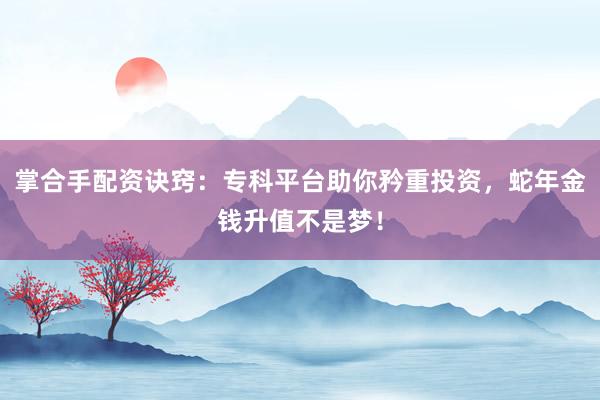 掌合手配资诀窍：专科平台助你矜重投资，蛇年金钱升值不是梦！