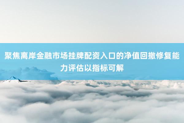 聚焦离岸金融市场挂牌配资入口的净值回撤修复能力评估以指标可解