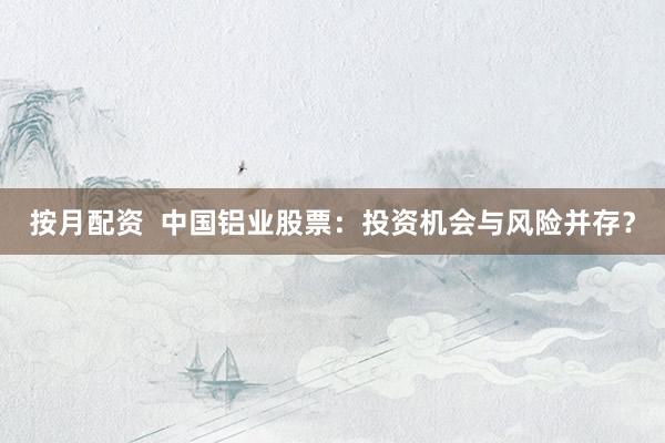 按月配资  中国铝业股票：投资机会与风险并存？